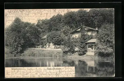 AK Wiesbaden, Fischzucht-Anstalt mit Teich