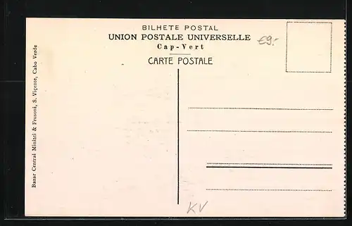 AK S. Vicente, Mercado