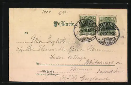 Künstler-AK Carl Münch: Freiburg i. Br., Waldsee mit Kanu