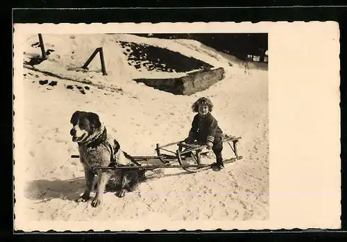 Foto-AK Knabe bei Rodelpartie mit Schlittenhund