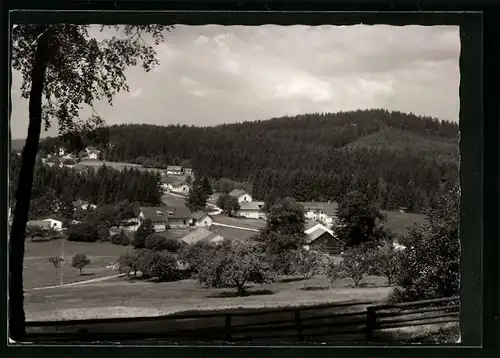 AK Lindberg-Lehen /Bayer. Wald, Teilansicht aus der Vogelschau