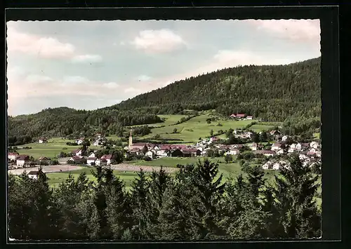 AK Böbrach /Bayer. Wald, Ortsansicht mit Kirche