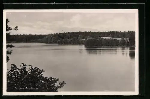 AK Niedersee /Masuren, Blick auf Gewässer