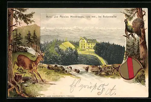 Passepartout-Lithographie Badenweiler, Hotel und Pension Hochblauen, Wappen