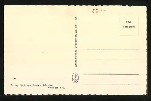 AK Lauingen a. D., Imhofstrasse mit Donau-Drogerie