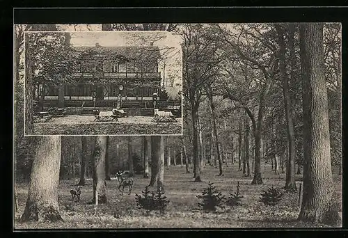 AK Bad Nauheim, Cafe-Restaurant Waldhaus