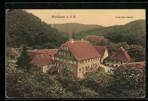 AK Weinheim a.d.B., Fuchs`sche Mühle, Totalansicht