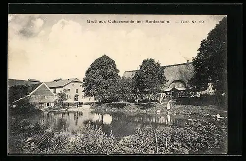 AK Ochsenweide bei Bordesholm, Ansicht vom Dorfweiher mit umliegenden Gebäuden