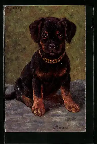 AK Junger Hund mit Kettenhalsband in Sitzposition