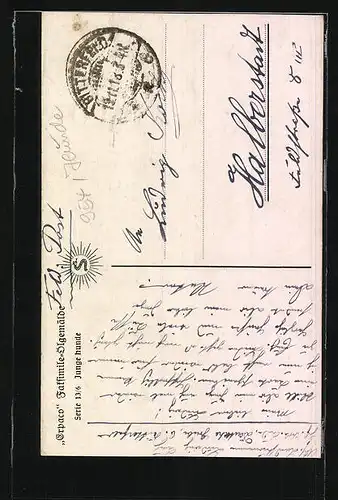 AK Junger Hund mit Kettenhalsband in Sitzposition