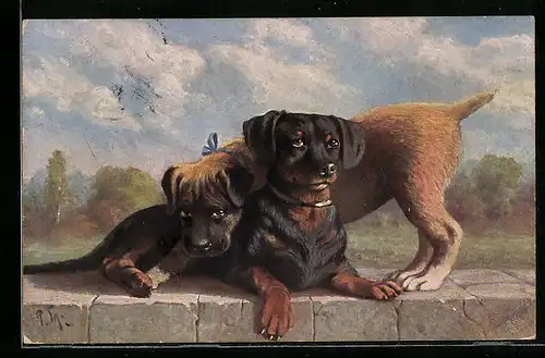 AK Zwei junge Hunde auf einer Mauer