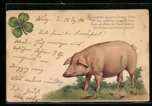 Lithographie Schwein auf einer Wiese, Glücksklee
