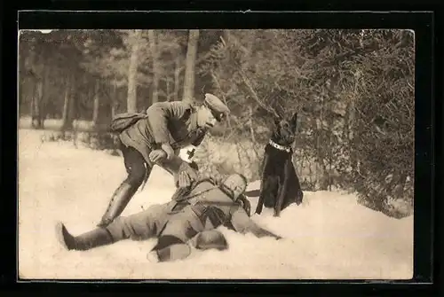 AK Sanitätshund beim Bergen eines Verwundeten im Schnee