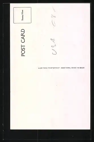 AK New York, NY, The Commodore, Hotel