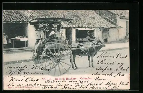 AK Colombo, Bullock Hackery