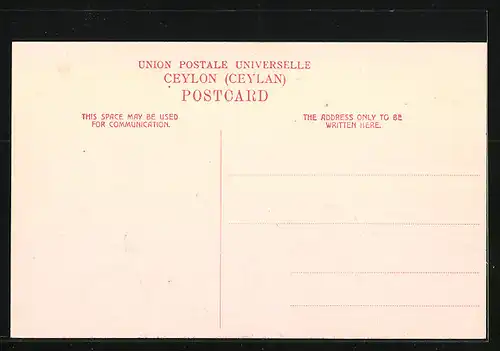 AK Colombo, Panorama