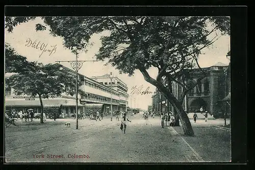 AK Colombo, York Street