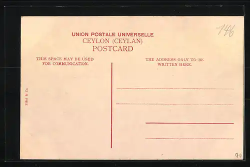 AK Colombo, York Street