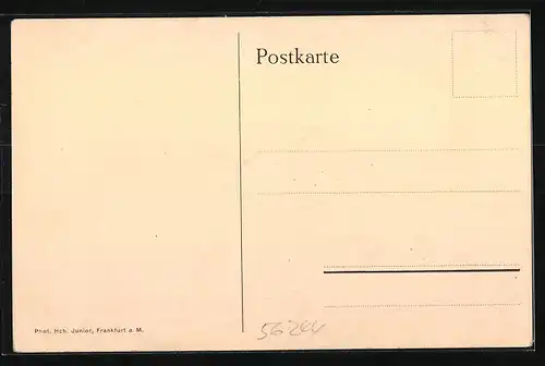 AK Vielbach im Westerwald, J. C. Juniorsches Erholungsheim, Frontansicht