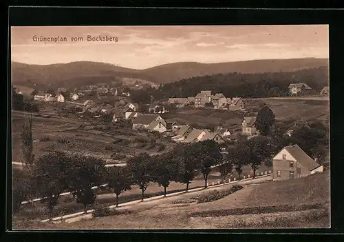 AK Grünenplan, Ortsansicht vom Bocksberg