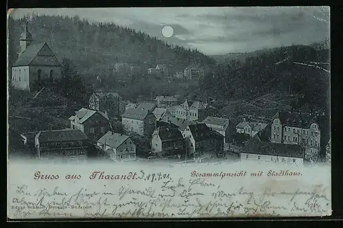 Mondschein-AK Tharandt, Gesamtansicht mit Stadthaus