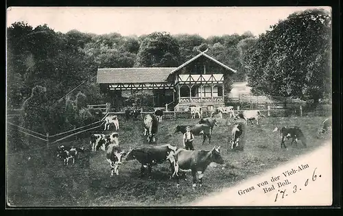 AK Bad Boll, Blick auf Vieh-Alm