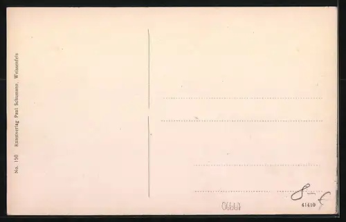 AK Weissenfels a. S., Totalansicht mit Brücke