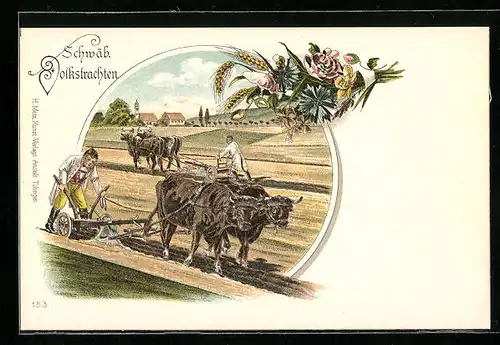 Lithographie Ochsenpflug, Schwäb. Volkstrachten