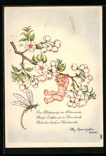 Künstler-AK Tilly von Baumgarten: Englein hängt am Blütenzweig, neugierige Libelle