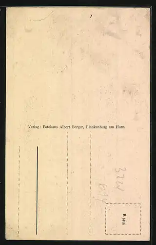 AK Blankenburg a. Harz, Tränkestrasse