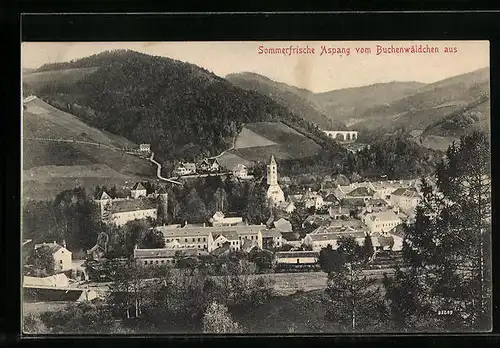 AK Aspang, Ortsansicht vom Buchenwäldchen aus