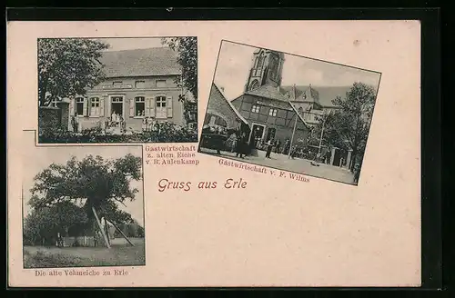 AK Erle, Vehmeiche, Gasthaus Wilms, Gasthaus zur alten Eiche