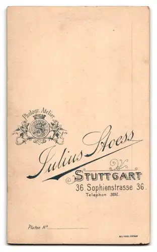 Fotografie Julius Stoess, Stuttgart, Sophienstrasse 36, Junger Soldat des Musikcorps in Uniform mit Schwalbennestern
