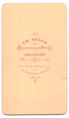 Fotografie Fr. Sölch, Ingolstadt, Bürgerlicher Herr mit Vollbart