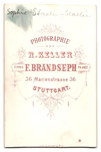 Fotografie F. Brandseph, Stuttgart, Marienstr. 36, Sophie Staelin mit Kragenbrosche