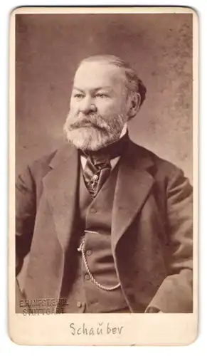 Fotografie Erwin Hanfstaengl, Stuttgart, Alleenplatz 4, Älterer Herr im Anzug mit Vollbart