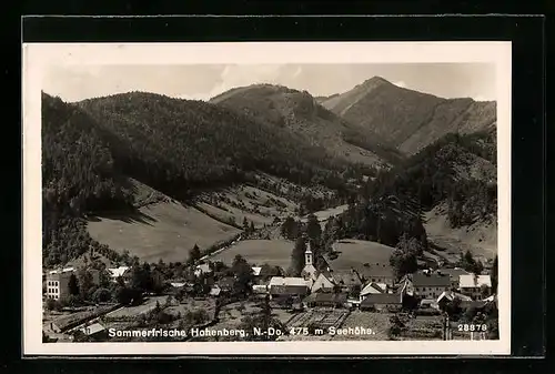 AK Hohenberg, Ortsansicht aus der Vogelschau