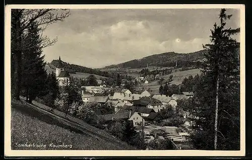 AK Kaumberg, Ortsansicht aus der Vogelschau