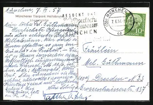 AK München, Löwenfamilie im Tierpark Hellabrunn