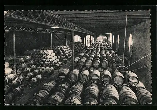 AK San Sadurni de Noya, Casa Codorniu, Wein, Una bodega