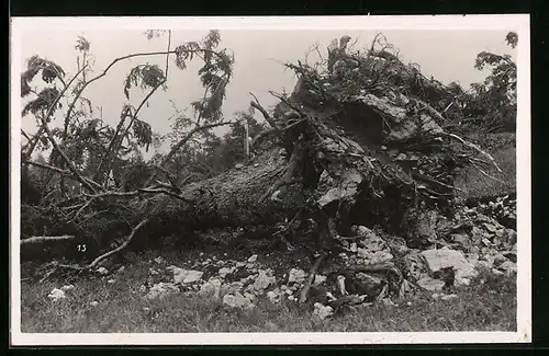 AK La Chaux-de-Fonds, Cyclone 12.6.1926, Unwetter