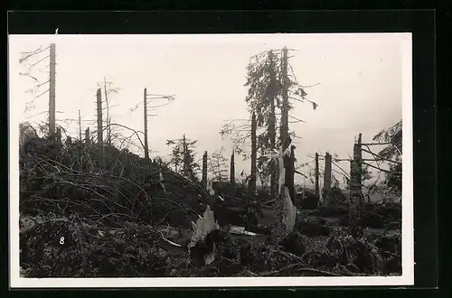 AK La Chaux-de-Fonds, Cyclone 12.6.1926