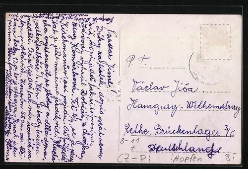 AK Plzne, Ortsansicht und Bier, Hopfen