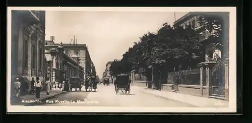 Mini-AK Alexandrie, Rue Rosette, La Municipalité