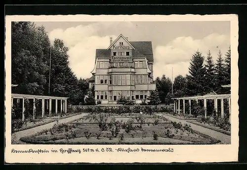 AK Benneckenstein im Hochharz, Kurhaus Tannenwald