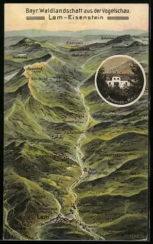 Künstler-AK Eugen Felle: Lam-Eisenstein, Bayr. Waldlandschaft aus der Vogelschau, Brennes-Hotel