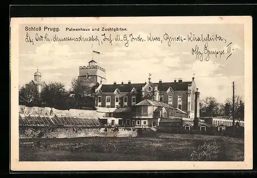 AK Schloss Prugg, Palmenhaus und Zuchtgärten