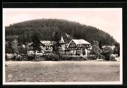 AK Titisee /Schwarzwald, Hotel am See