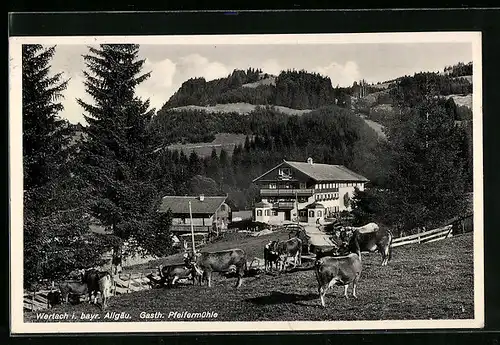 AK Wertach i. bayr. Allgäu, Gasthof Pfeifermühle mit weidenden Rindern