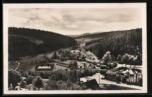 AK Rautenkranz /Erzgeb., Blick ins Muldenthal